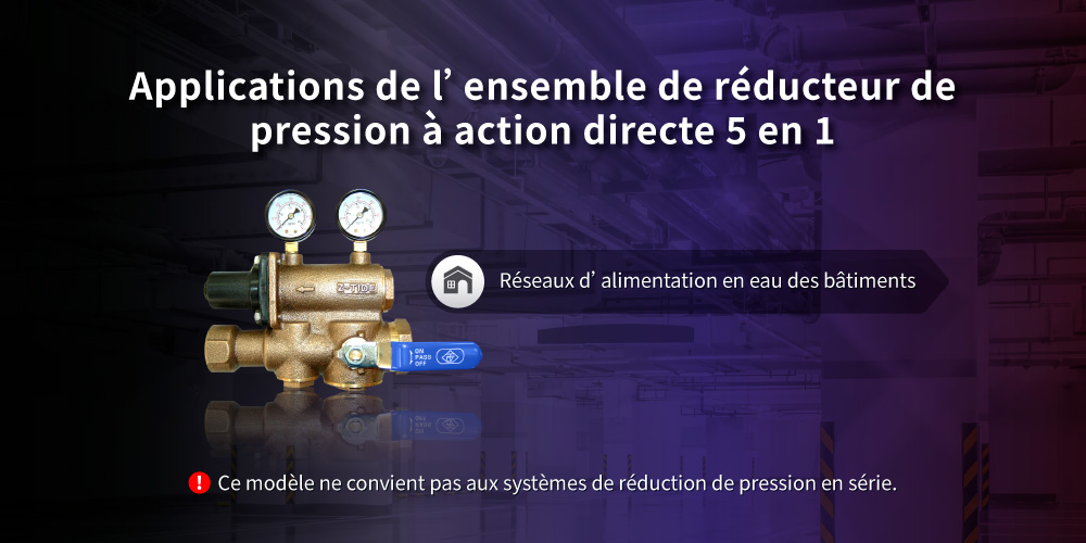 Applications de l'ensemble de réducteur de pression à action directe Z-Tide 5 en 1